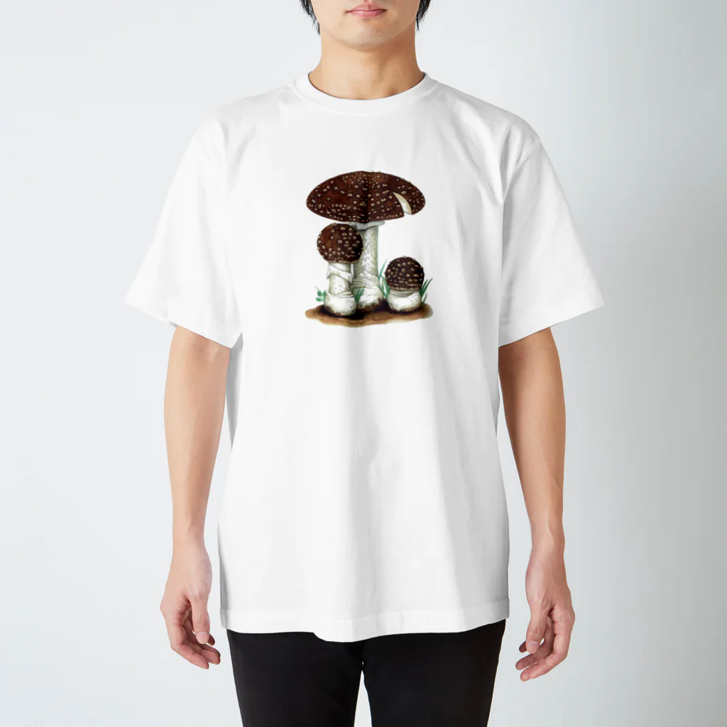 キノコの小部屋 MushAndRoomのイボテングタケ 【菌類図譜 キノコ きのこ】 Regular Fit T-Shirt