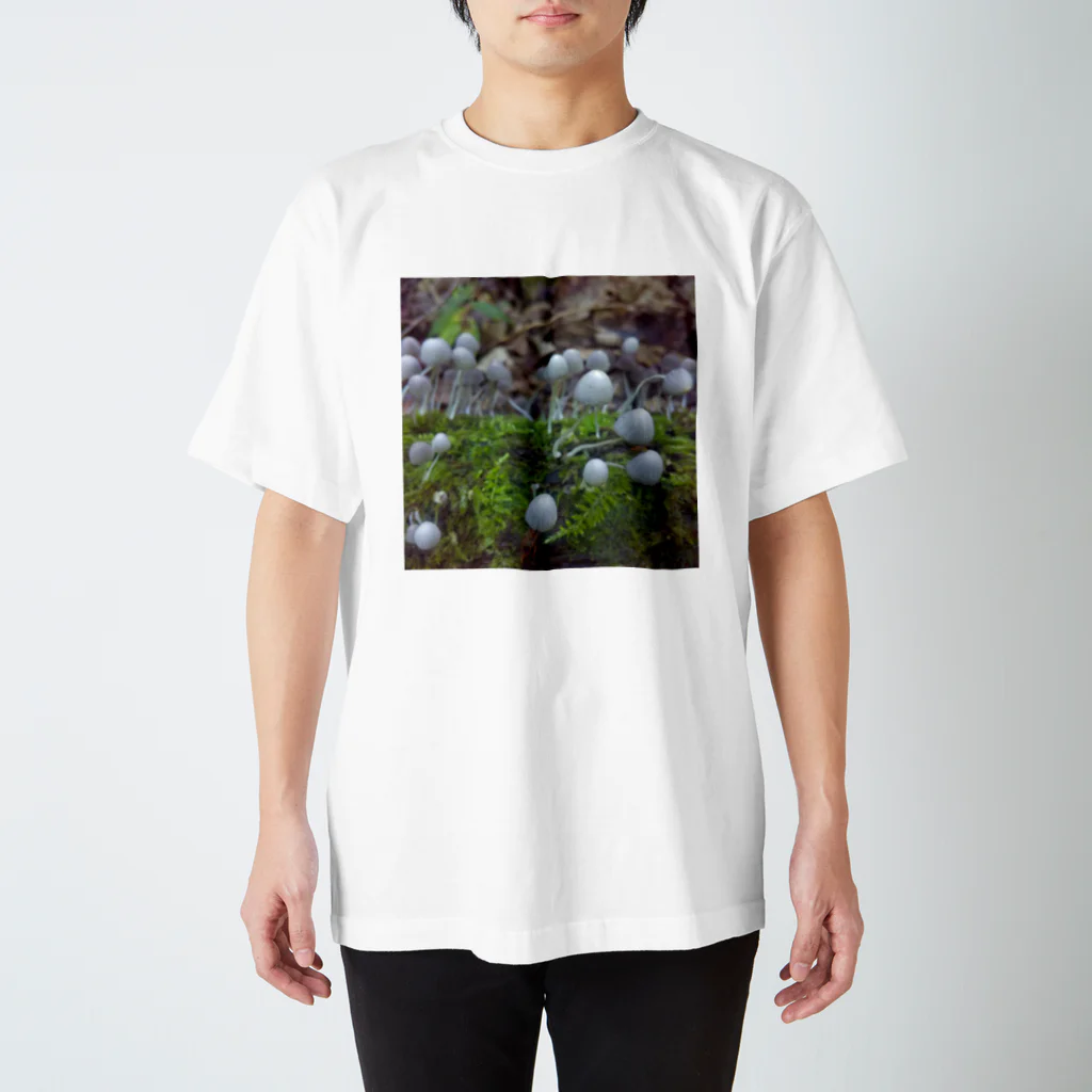 ミクロの不思議の国のキノコちゃん Regular Fit T-Shirt