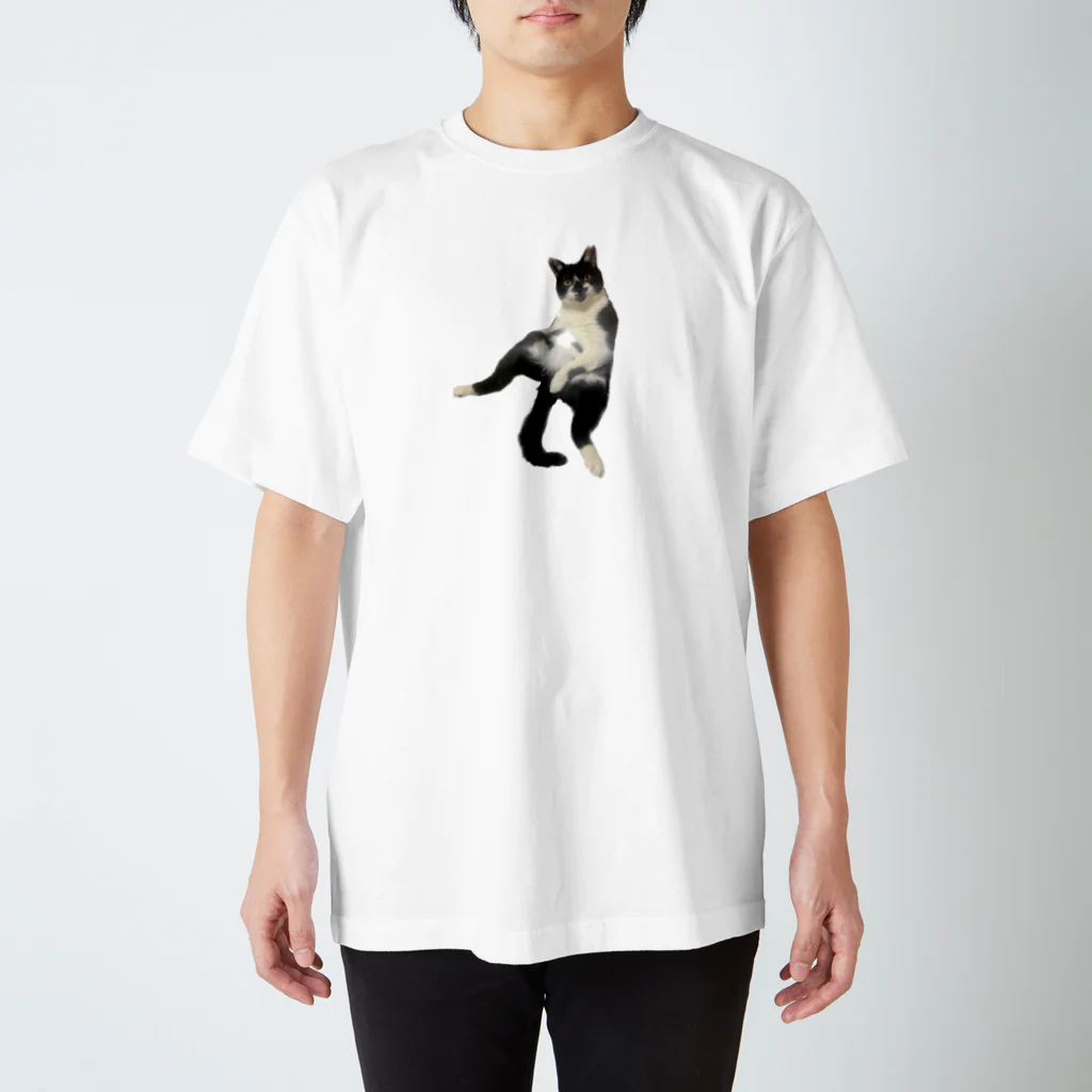 まきぼっくりのひょうきん猫カンタくん スタンダードTシャツ