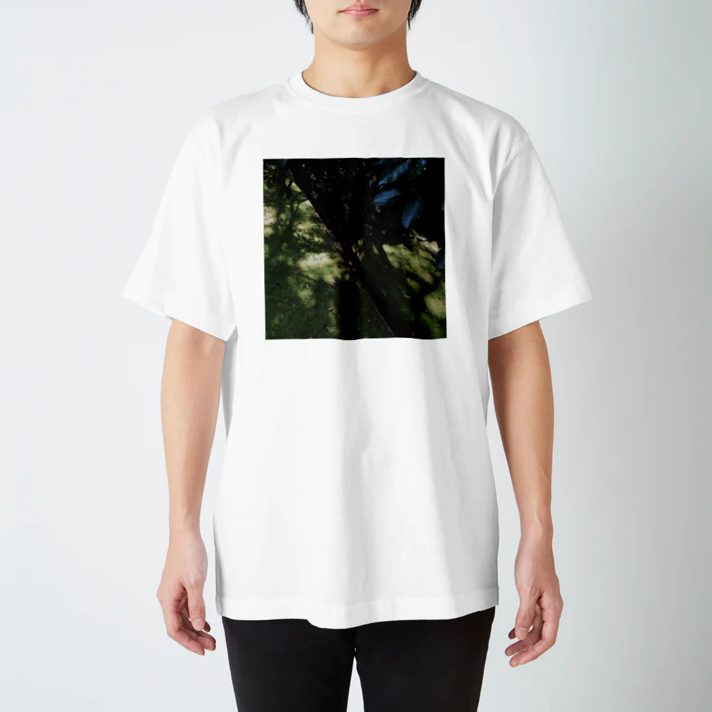 softihhardの藻アートTshirt スタンダードTシャツ