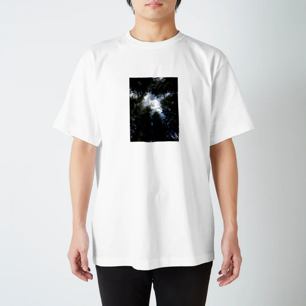 Tamakokiの森林浴 Regular Fit T-Shirt