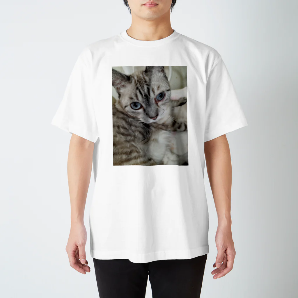 ねこの森でお散歩のフッワフワのシャムミックス スタンダードTシャツ