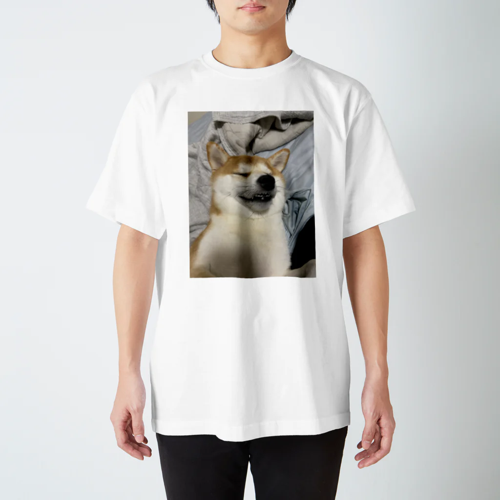 笛ガムのまどろみ犬 スタンダードTシャツ