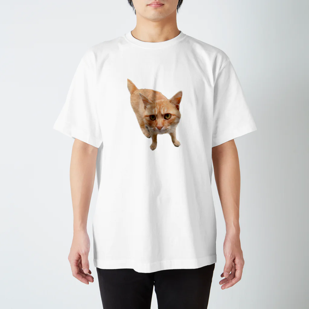 sukiatsumeの見つめるトラ猫 スタンダードTシャツ