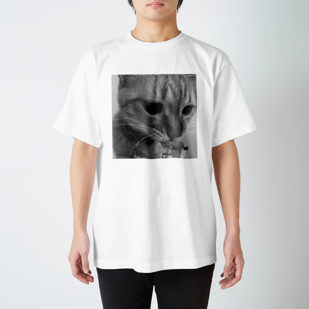 MACKERELCATのなっちゃんペロリ スタンダードTシャツ