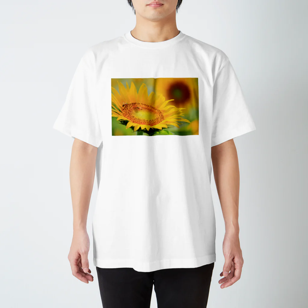 M.F.Photoのひまわり スタンダードTシャツ