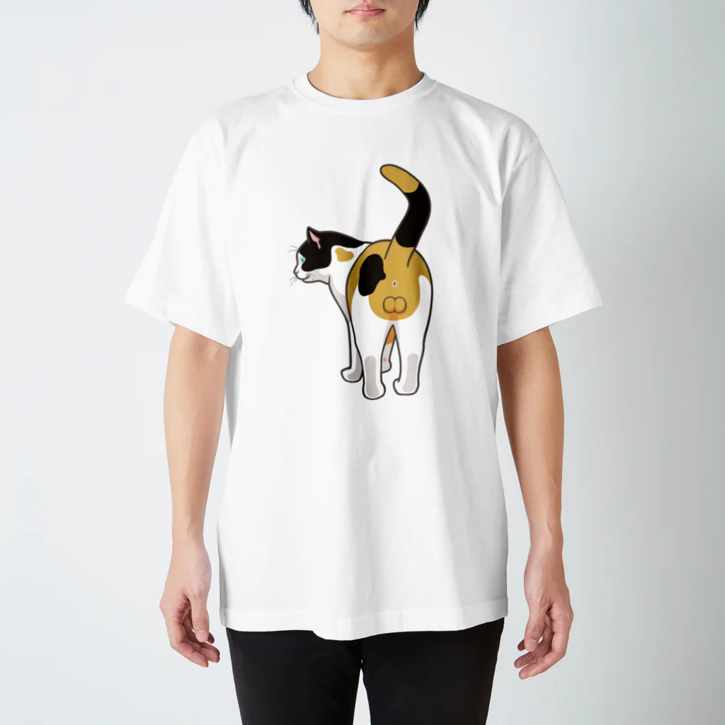 tege-tege | テゲテゲのミケネコ♂ Regular Fit T-Shirt