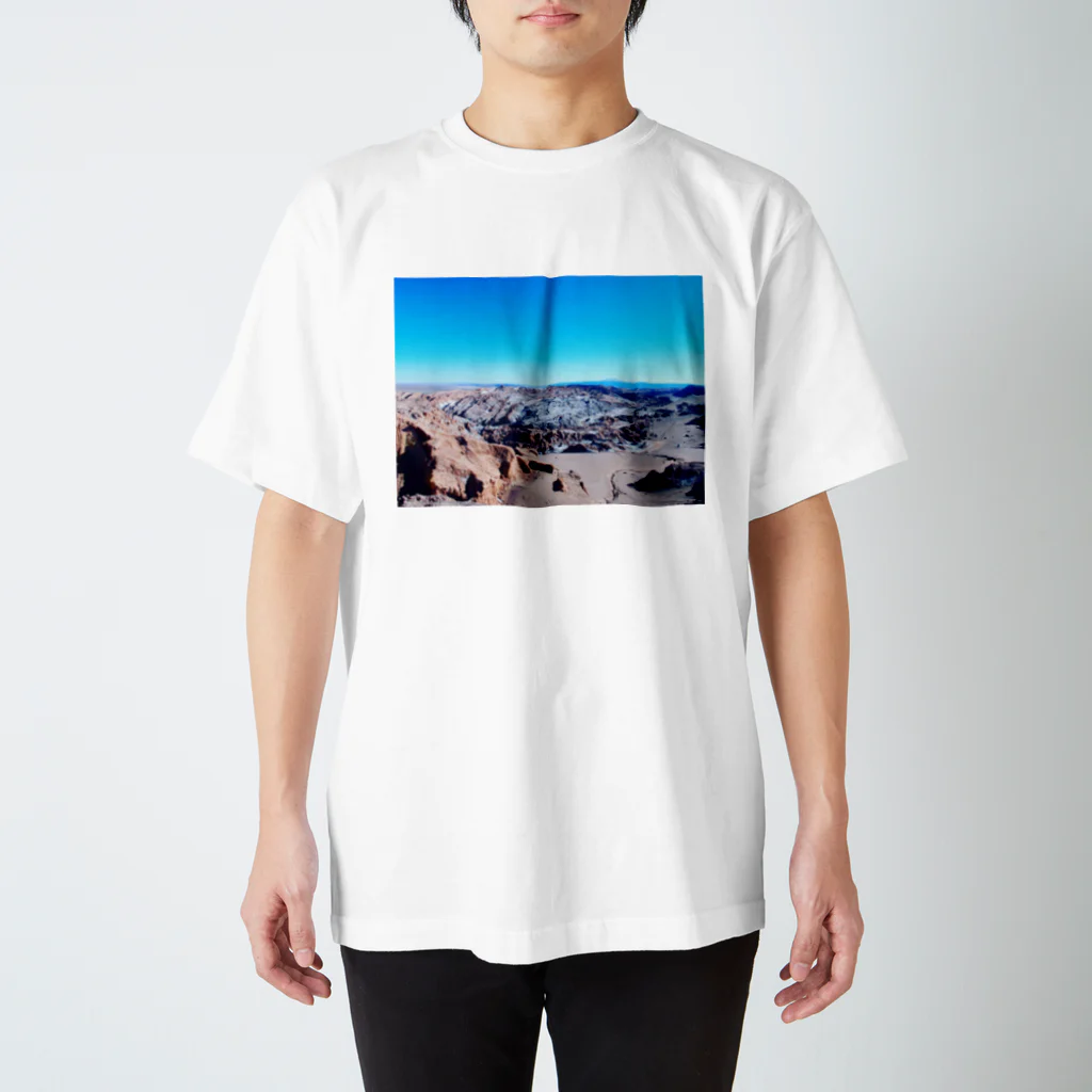 ねもの地球で撮りました スタンダードTシャツ