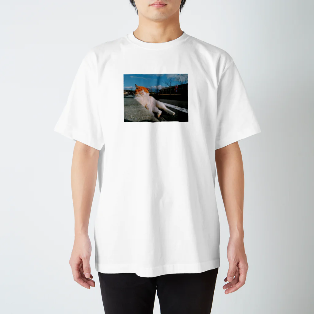 ふじおのくつろぎふじお スタンダードTシャツ