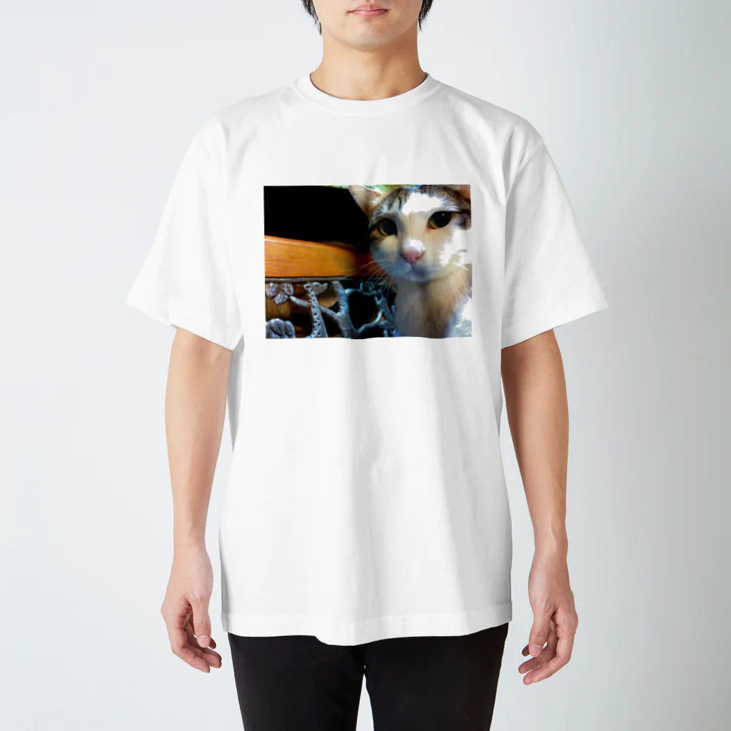 taku0024のCats Cool Face(CCF) スタンダードTシャツ