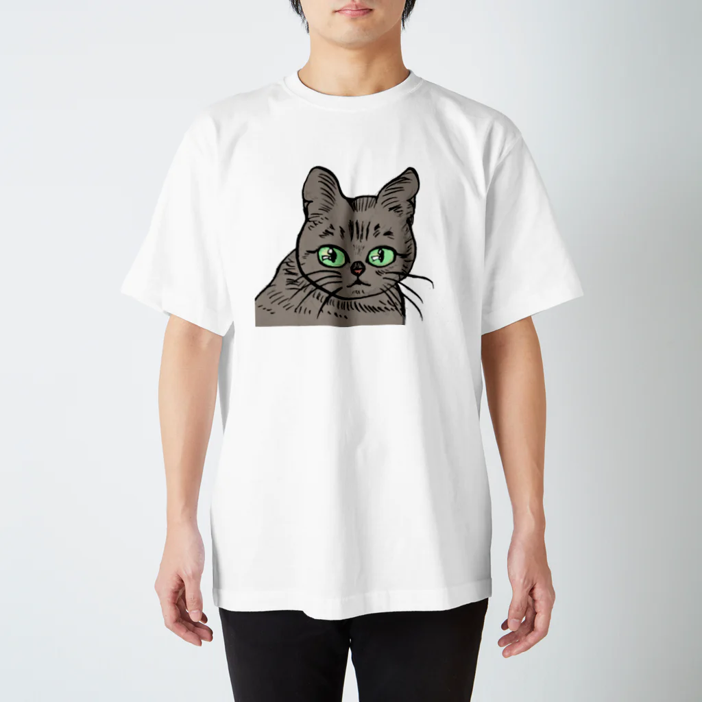 toru_utsunomiyaの猫の眼差し スタンダードTシャツ