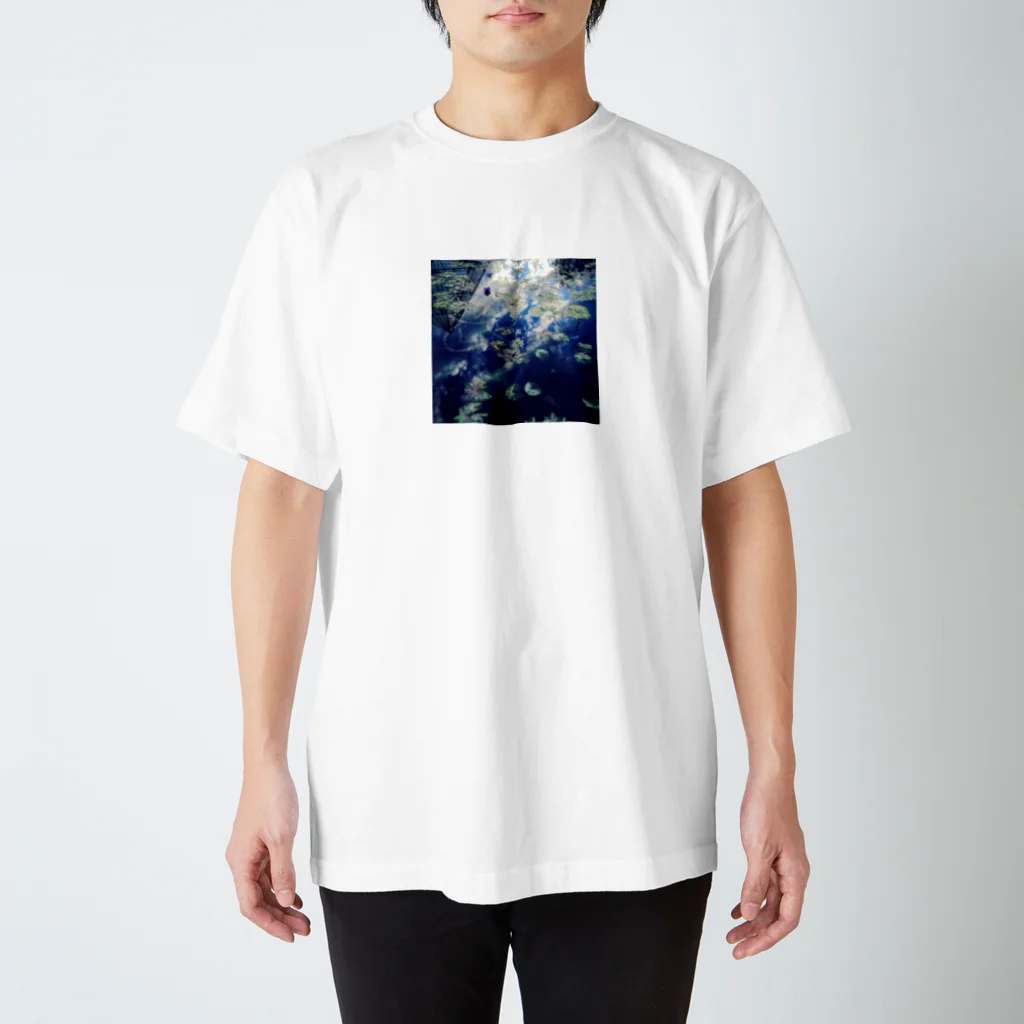 あせろらじゃむの水面に映る世界 スタンダードTシャツ