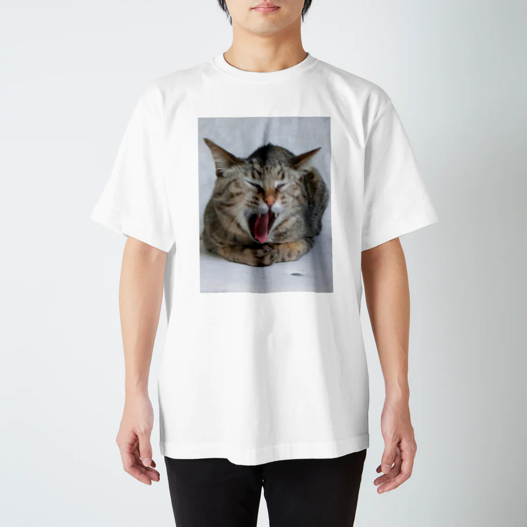 笑い猫堂SUZURI店の雉猫大欠伸 Regular Fit T-Shirt