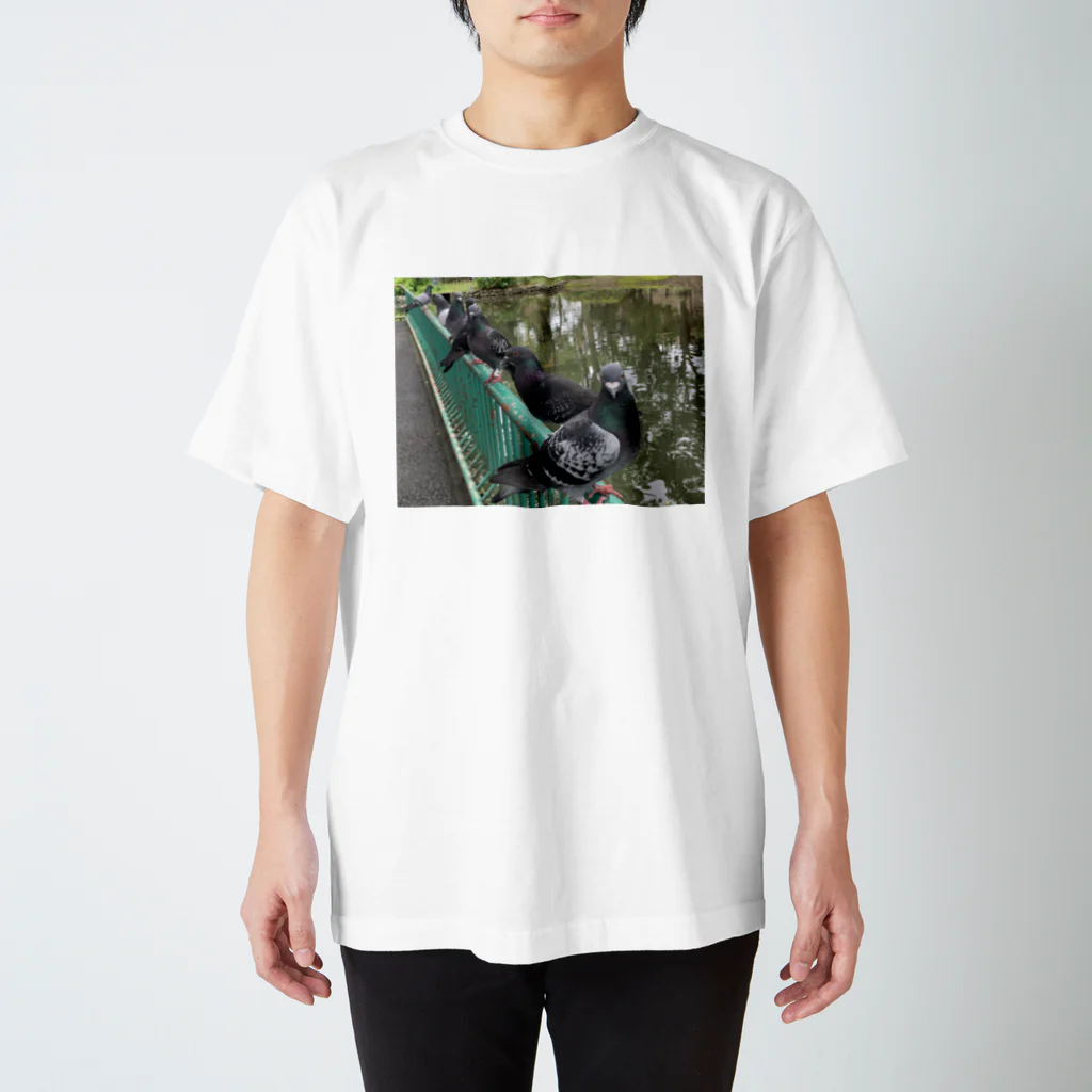 メロネードの公園の鳩 Regular Fit T-Shirt