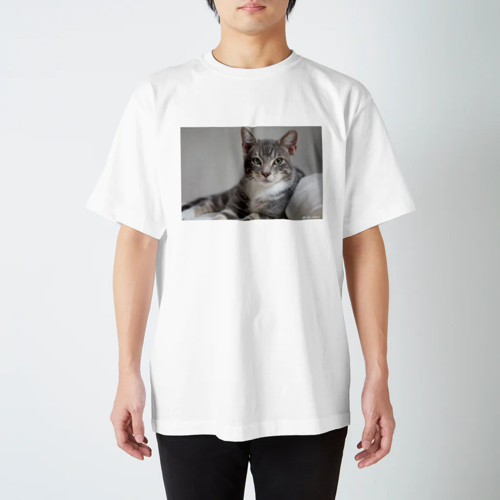 Aiko Nakanoのcat_20180712_7006' スタンダードTシャツ