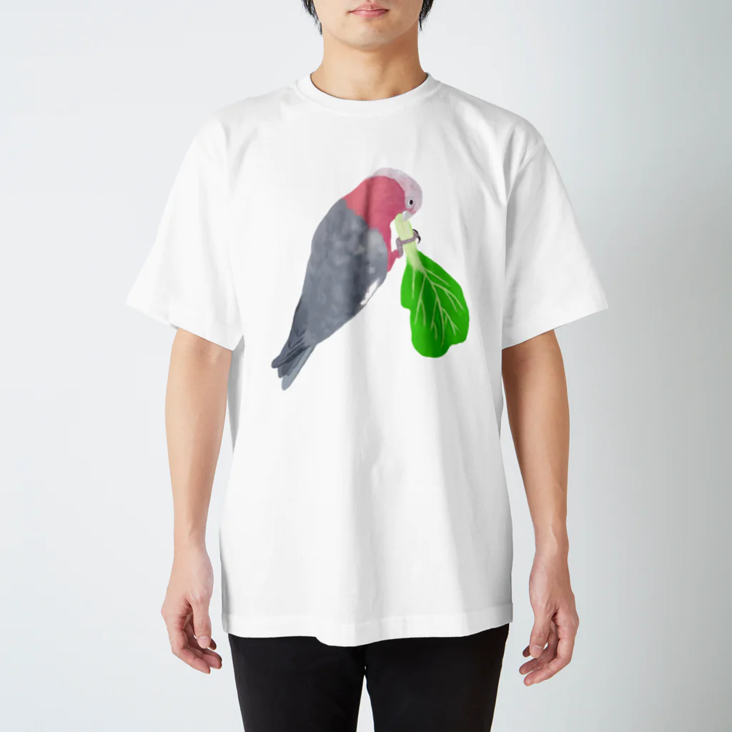 Lily bird（リリーバード）のチンゲン菜食べるモモイロインコ スタンダードTシャツ