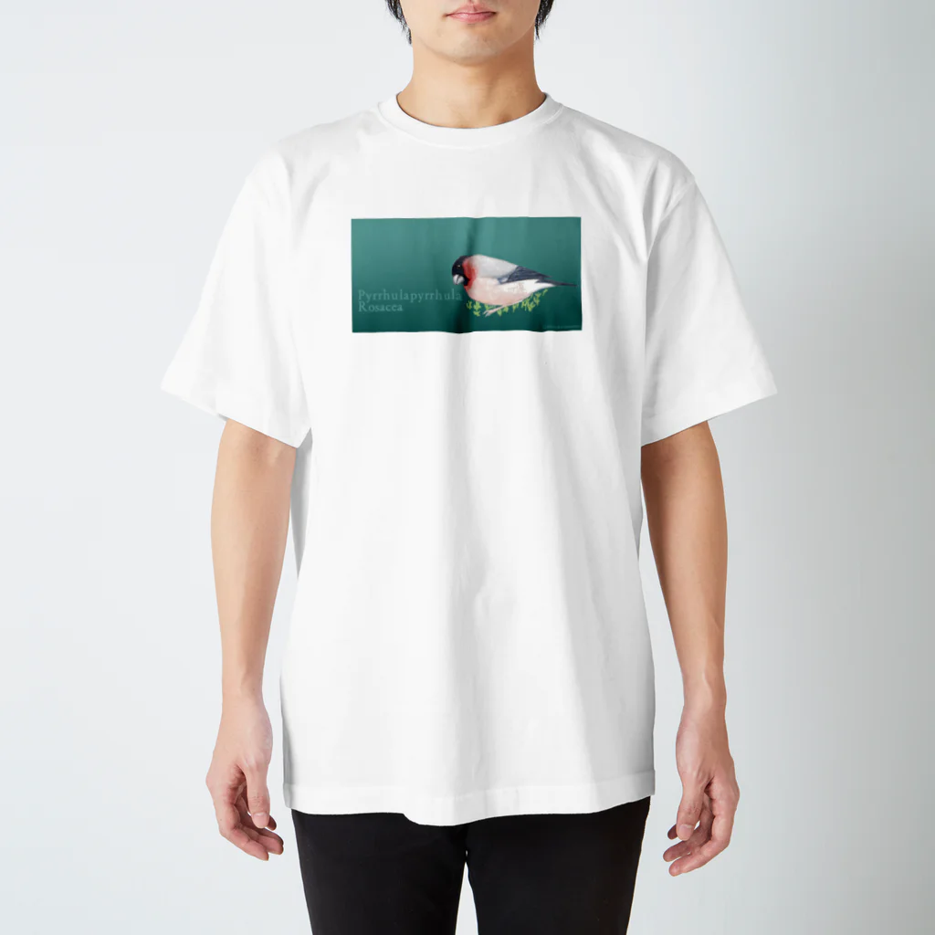 群緑の森（ぐんろくのもり）の真っ赤なウソ Regular Fit T-Shirt