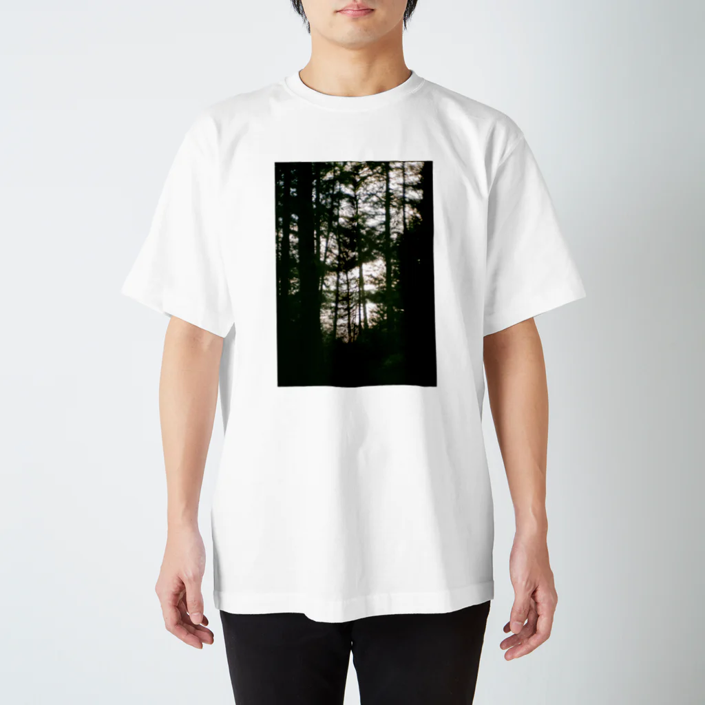 483 Fort Ave.のElk Lake スタンダードTシャツ