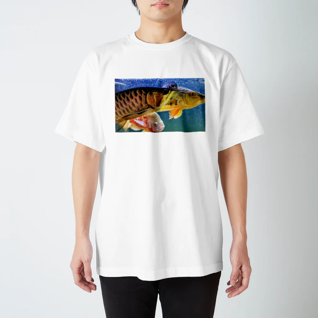 KazFishのアロキクオスカー スタンダードTシャツ