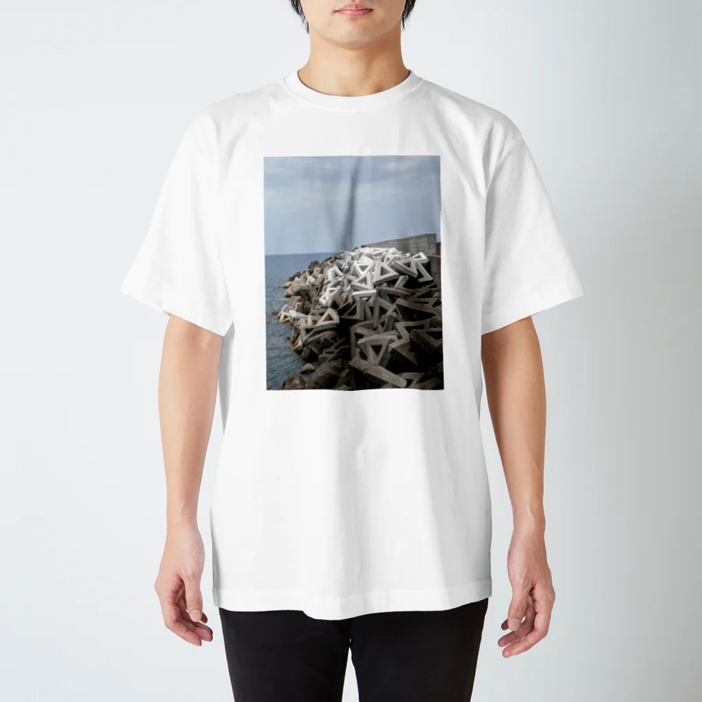 𝕕𝕖𝕖𝕖𝕝𝕚𝕥𝕖のリンクアンプがめっちゃ落ちてる スタンダードTシャツ