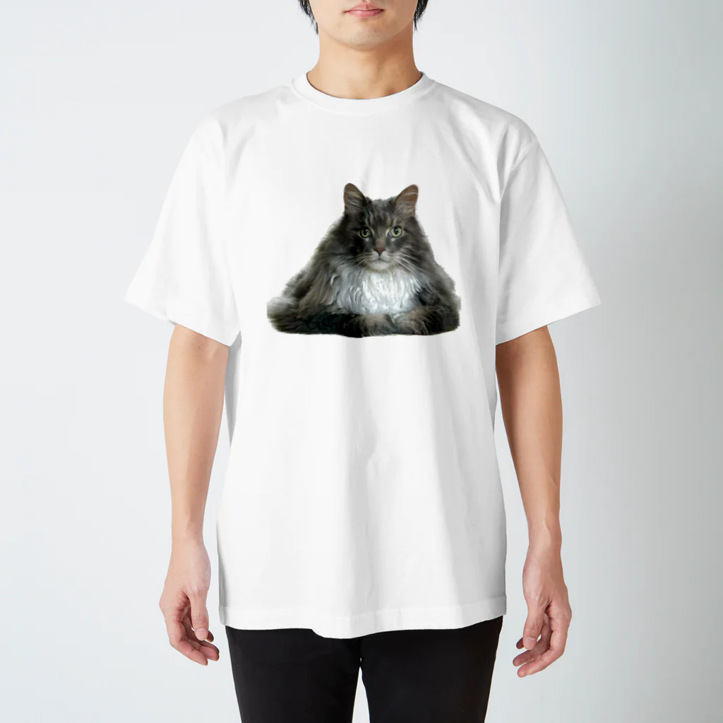 nyaosanのねこ スタンダードTシャツ