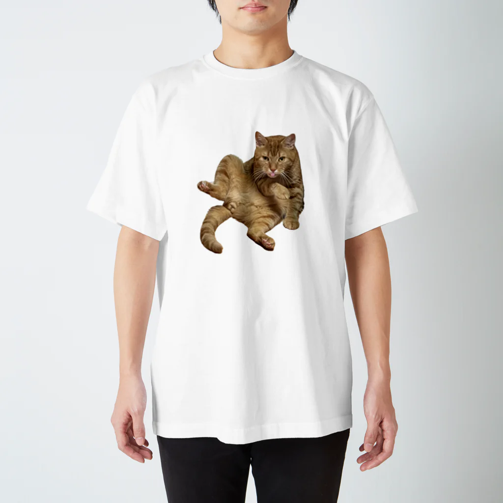 茶太郎🐱とモンブランの茶太郎のヤベッ！シリーズ スタンダードTシャツ