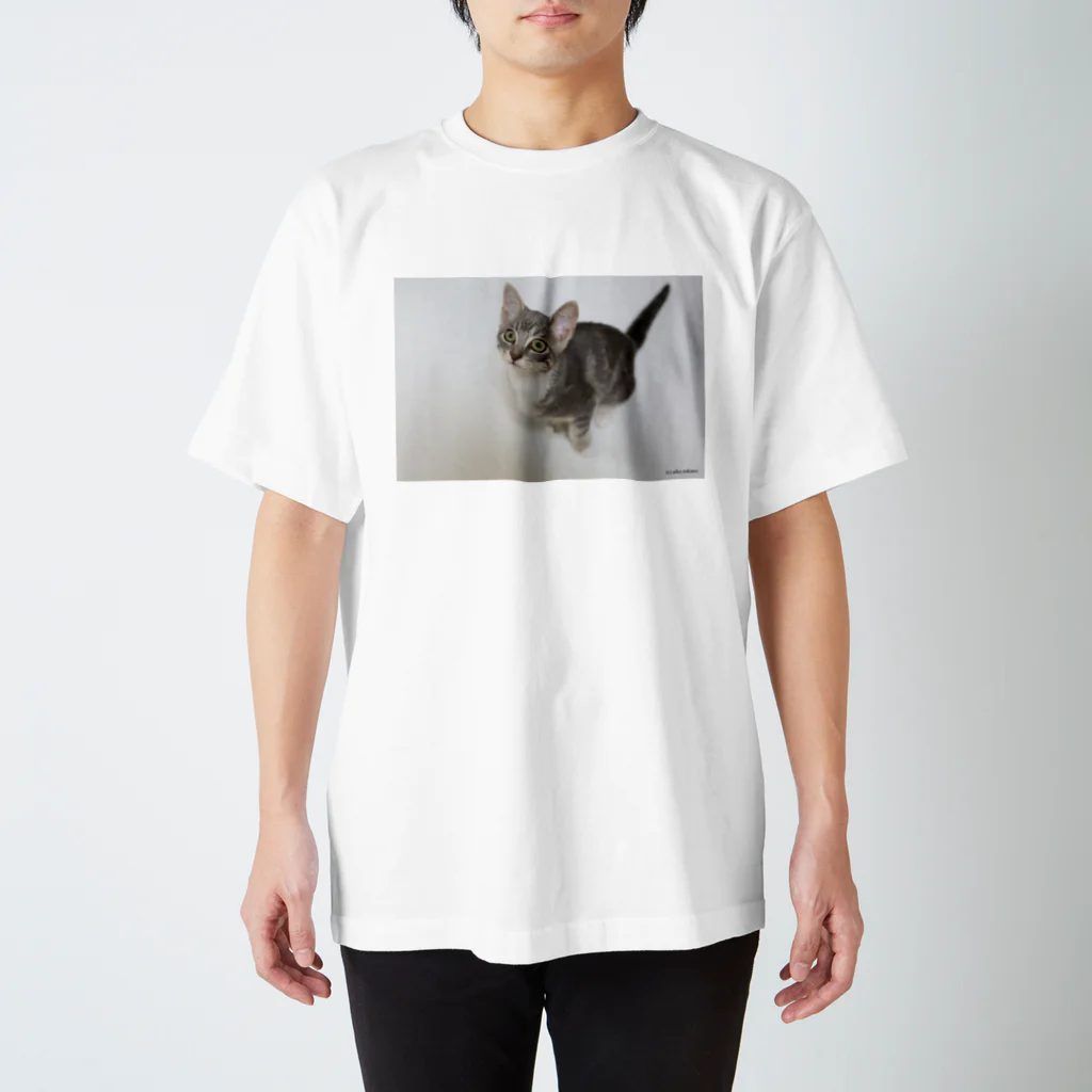 Aiko Nakanoのcat_20180515_2856' スタンダードTシャツ