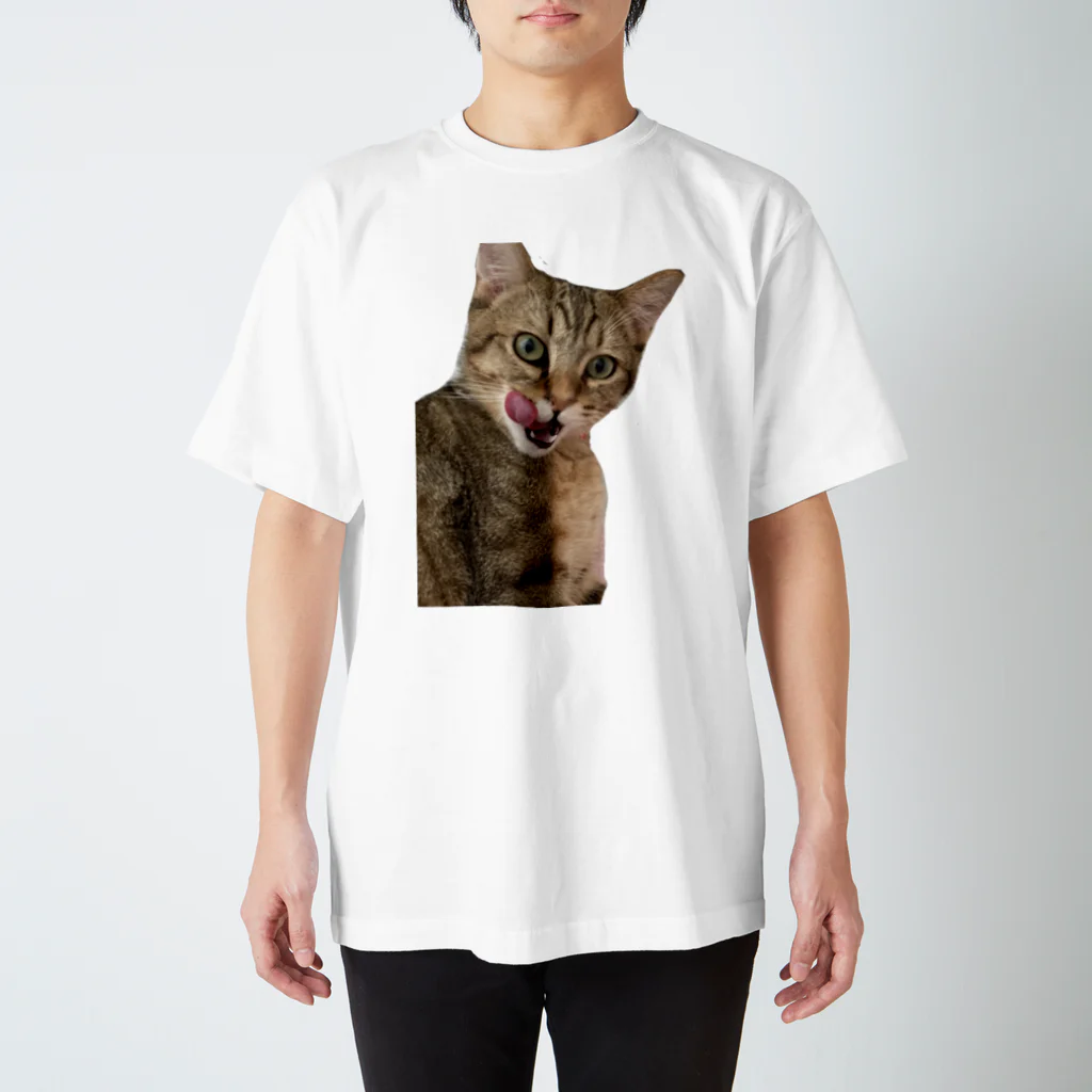 可愛すぎるうちのこのペロねこ　いとぺい スタンダードTシャツ