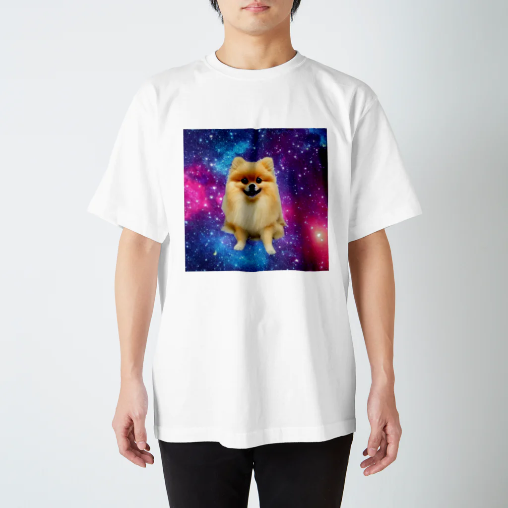 ポメラニ･アンのCOSMOS スタンダードTシャツ