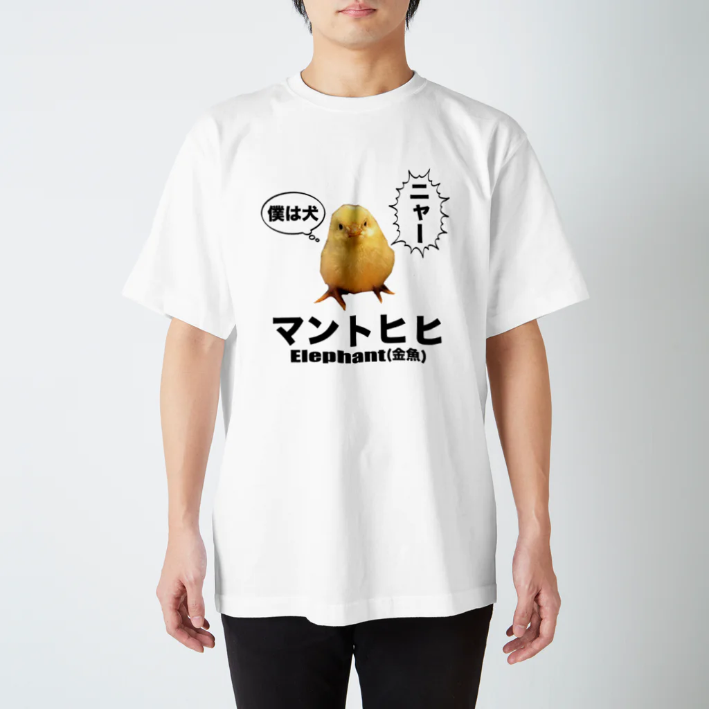 立花けんのグッズ屋さんのカンガルー Regular Fit T-Shirt