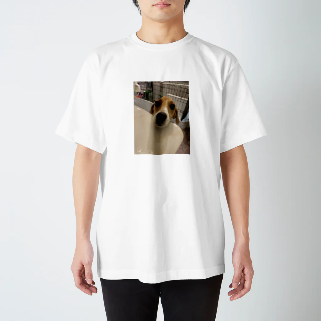 好きです犬！の3代目ビーグル スタンダードTシャツ