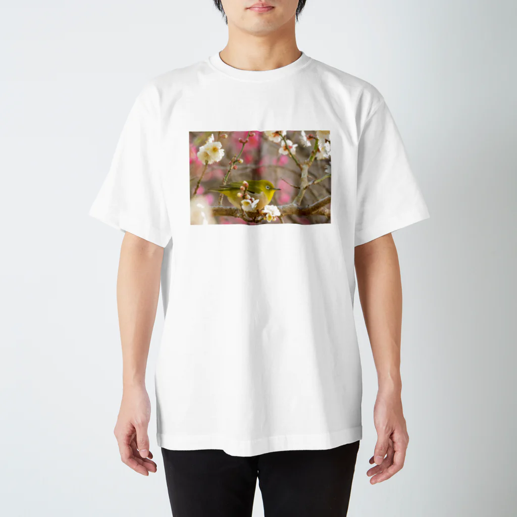 little CATSの鳥 スタンダードTシャツ