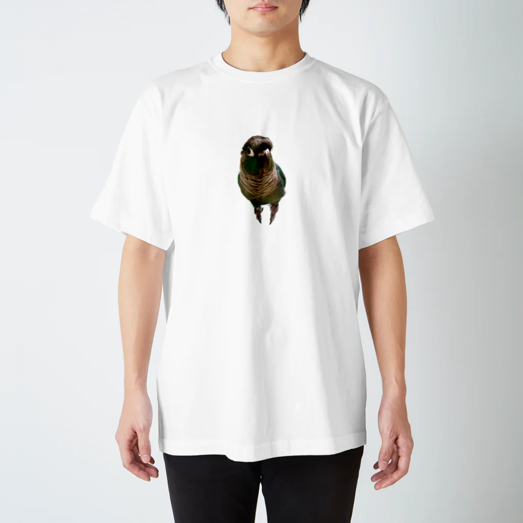 ウロコインコの翠のグッズショップのウロコインコの翠【おすましver】 Regular Fit T-Shirt