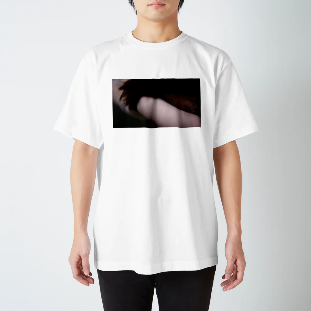 被写体あおぴのぐっずの川 Regular Fit T-Shirt