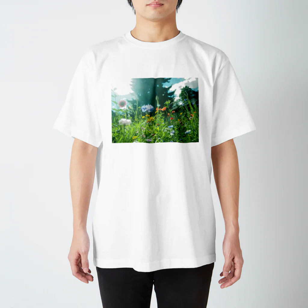 世界のどこかの光の先に / Denmark Regular Fit T-Shirt