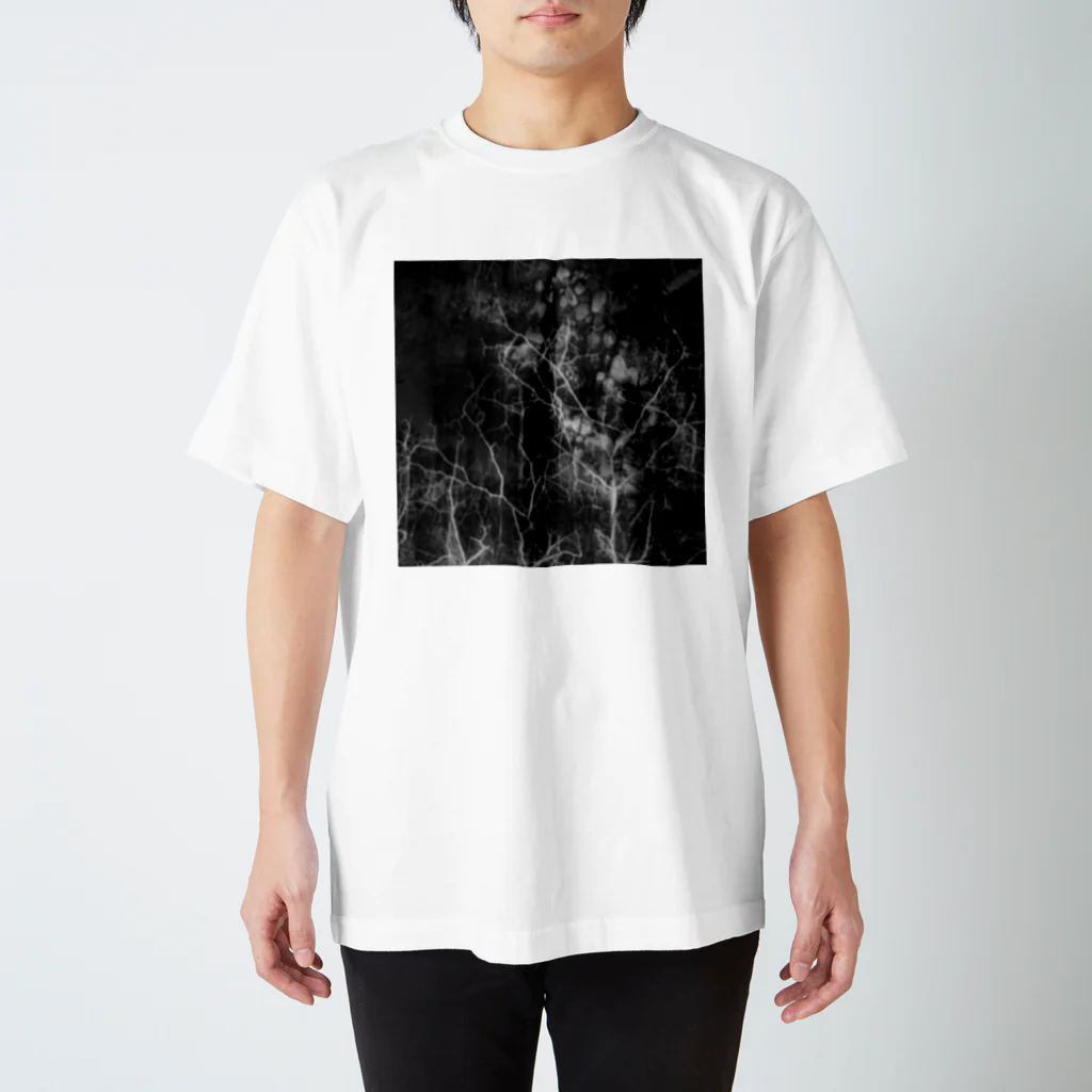 PsychologyCultの降下 スタンダードTシャツ