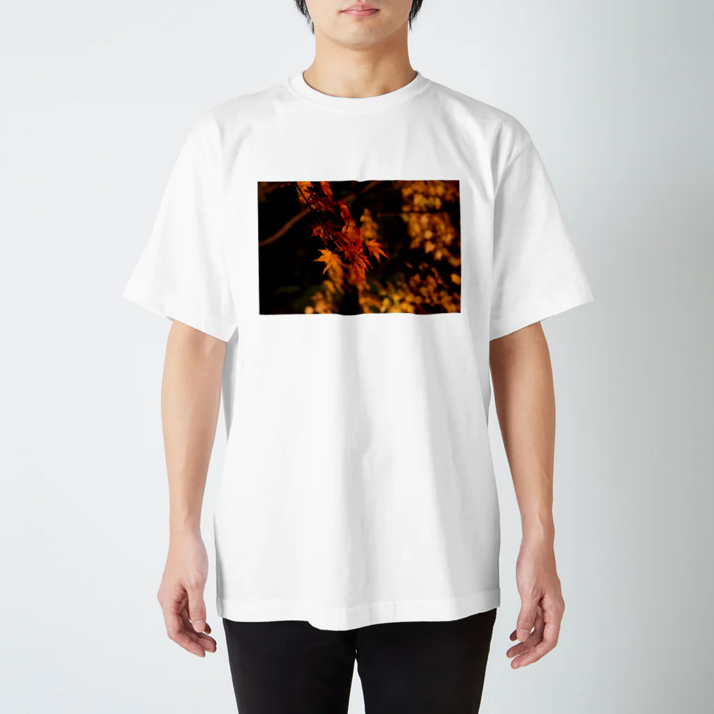 nokkccaのライトアップ紅葉 - Japanese maple(night shot) - スタンダードTシャツ