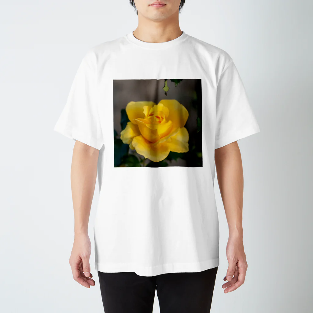 JUNの薔薇002 スタンダードTシャツ