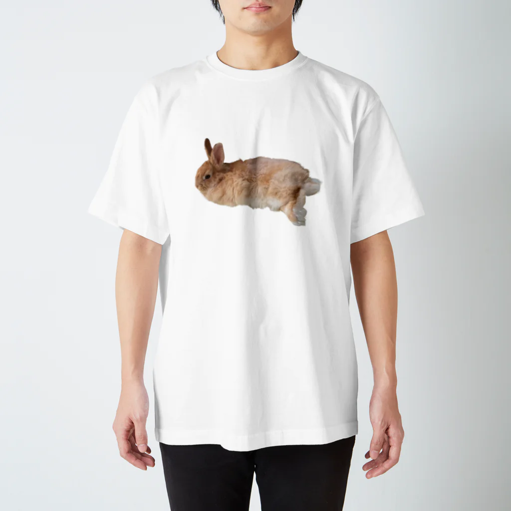 さとうのけだま写真 Regular Fit T-Shirt