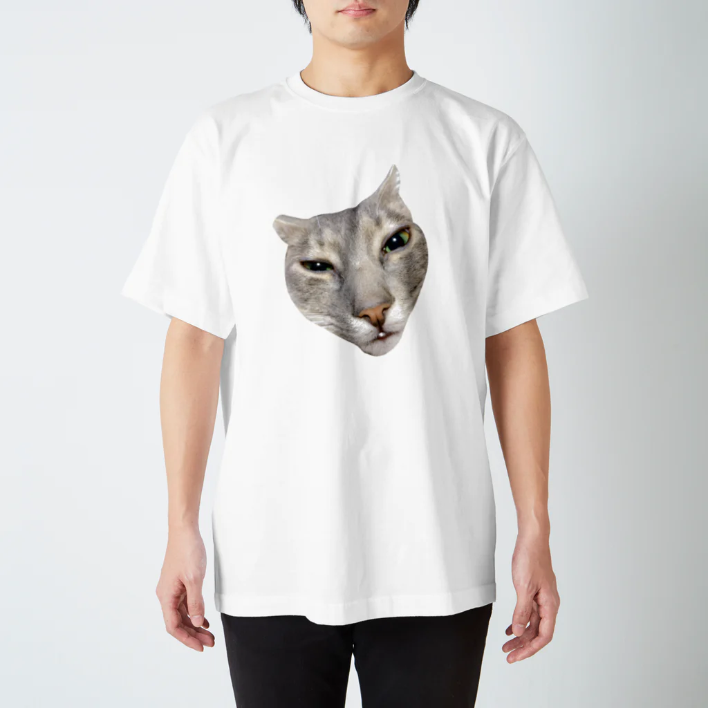 mochi-omochiの変な顔の猫 スタンダードTシャツ