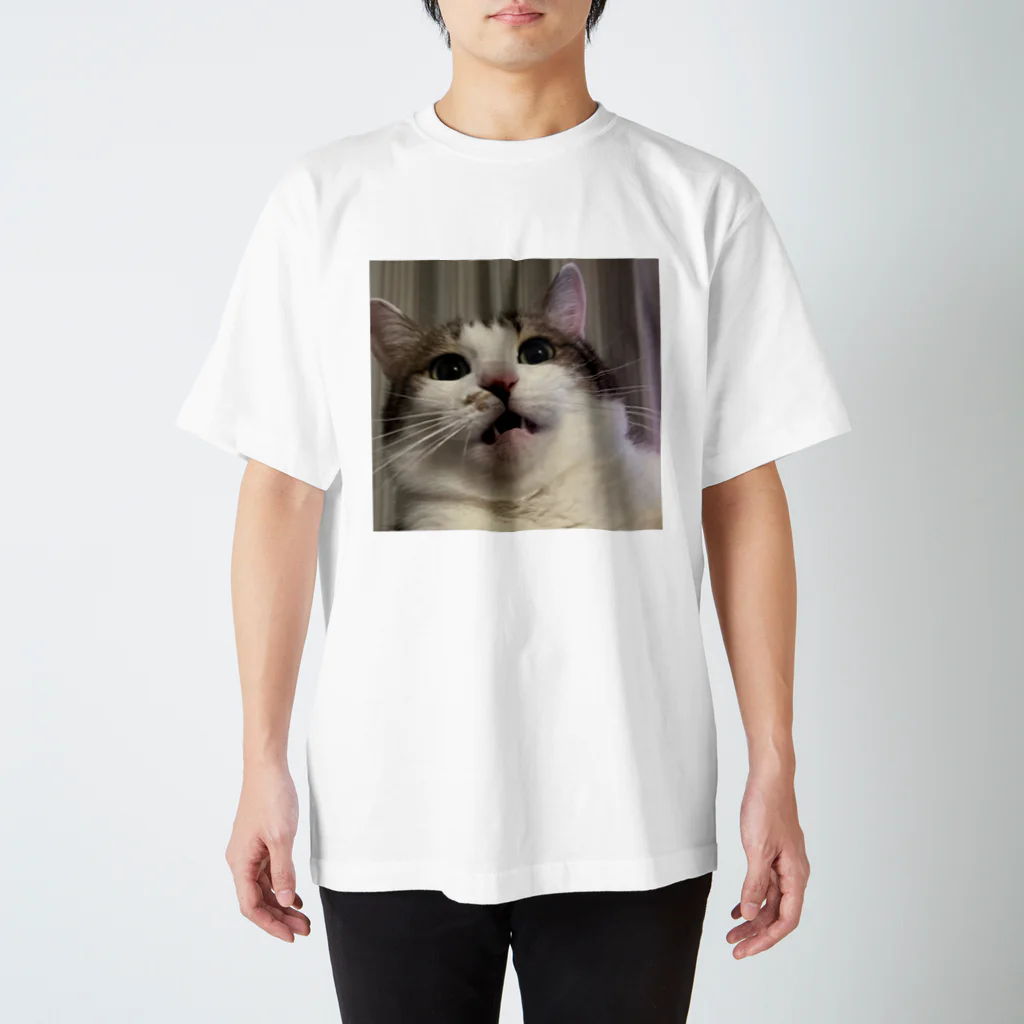 E.pmjのうちの猫 スタンダードTシャツ