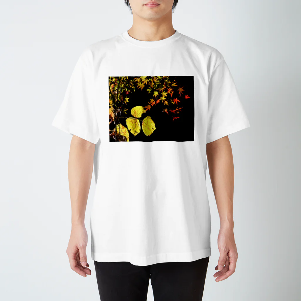 自然の写真とクルマのイラスト屋の高尾山の紅葉 スタンダードTシャツ