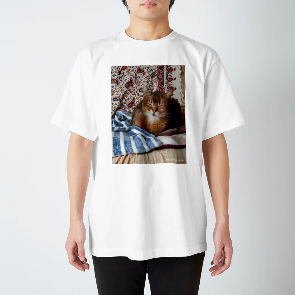 アビちゃん&ショップのほのぼのアビちゃんグッズ Regular Fit T-Shirt