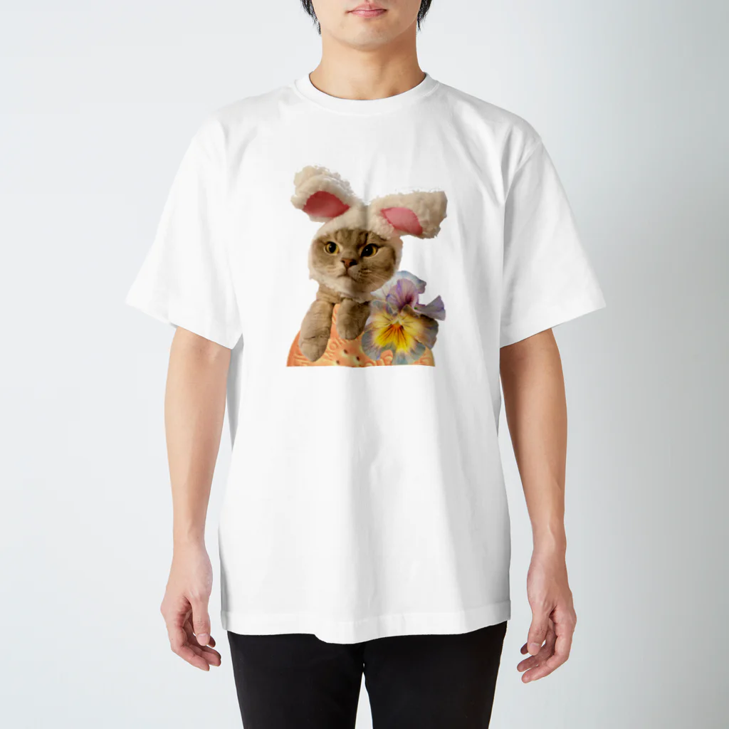 sumire-britishのうさねこ スタンダードTシャツ