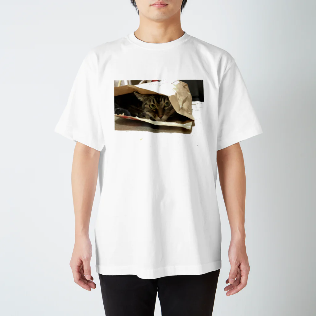 mimifineのひょっこりねこはん Regular Fit T-Shirt