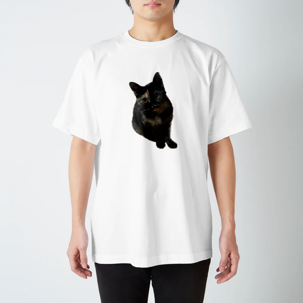 猫のひとりごとのサビ猫くう スタンダードTシャツ