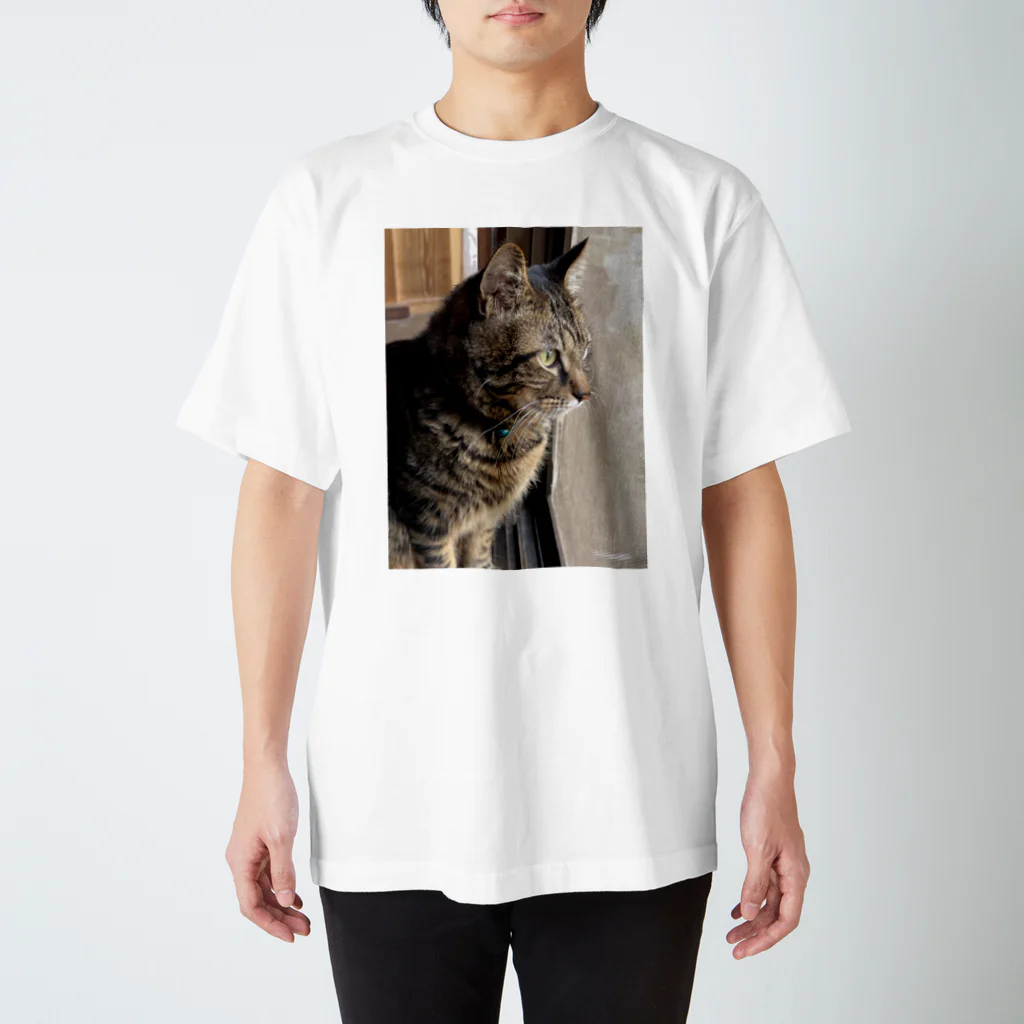 masio_masimasiの保護猫そばくん スタンダードTシャツ