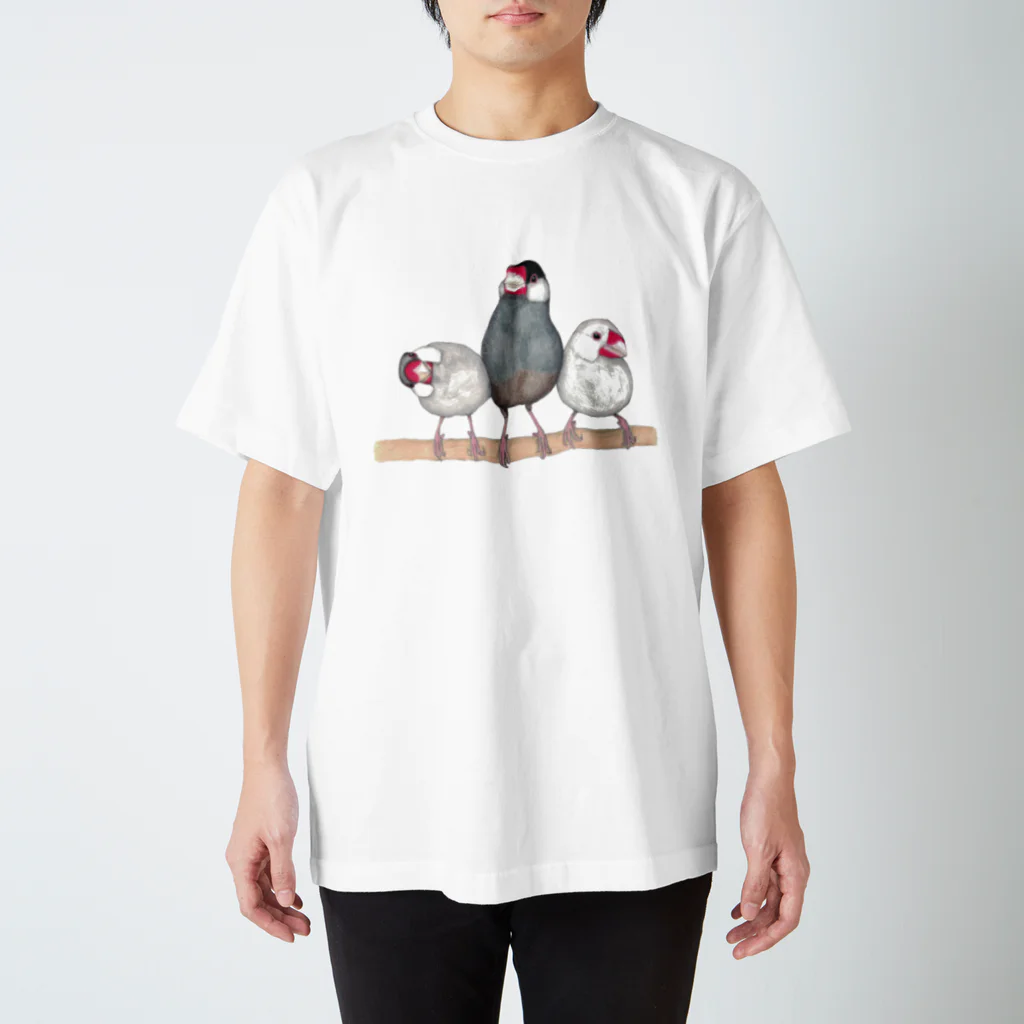 森図鑑の[森図鑑] 三羽文鳥 スタンダードTシャツ