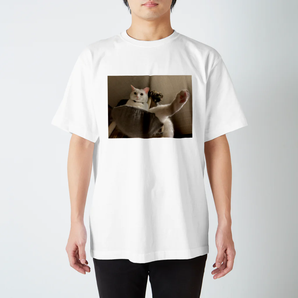 ねこすきのセクシー スタンダードTシャツ