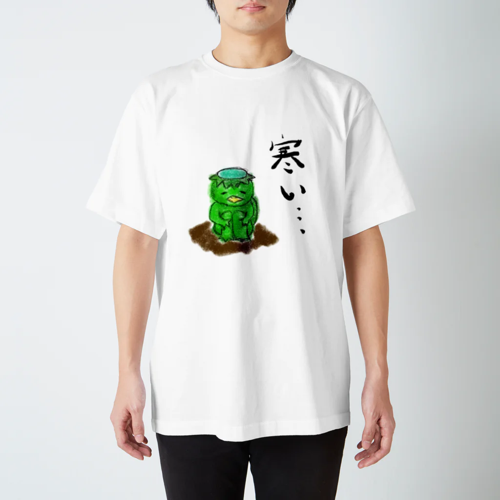 koromeのおんすいカッパ スタンダードTシャツ